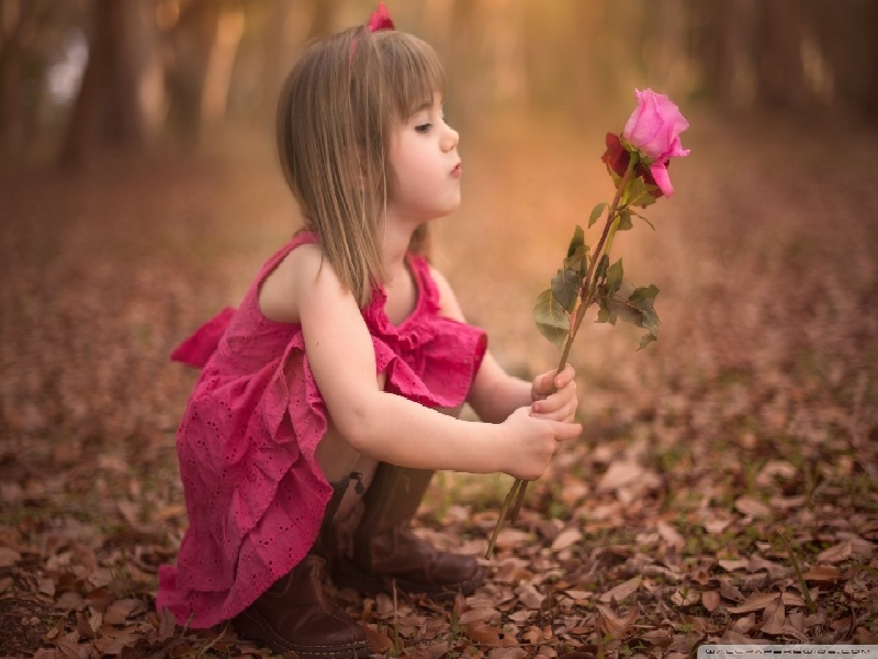 泰国试管港大做试管时会查什么试管降调长短方案